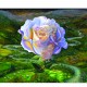 JOSEPHINE WALL GREETING CARD Adrift